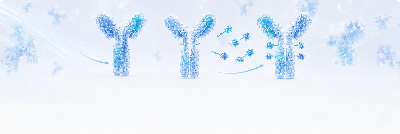 ADC Conjugation Kits